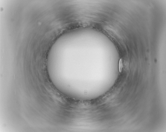 X0000088850865200706221658