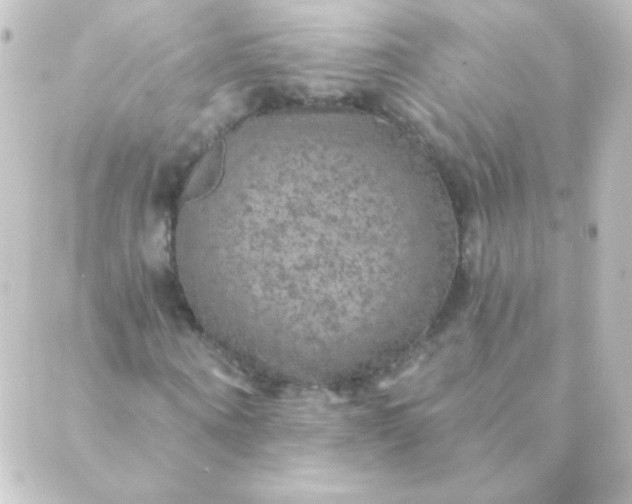 X0000088850866200706221658