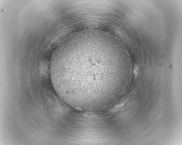 X0000088850867200706221658