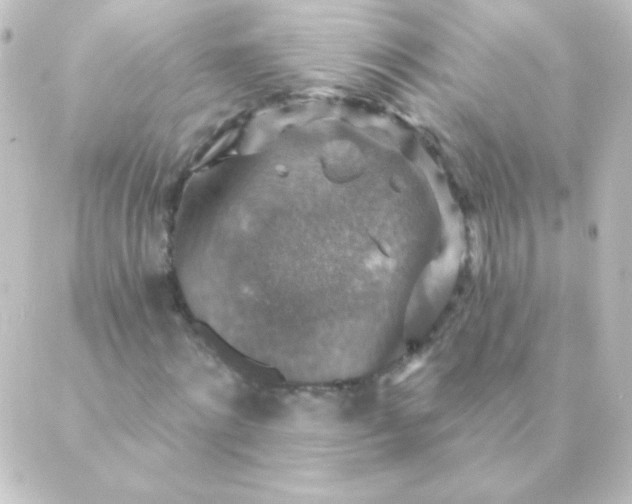 X0000088850868200706221658