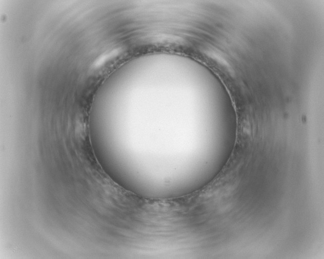 X0000088850869200706221658