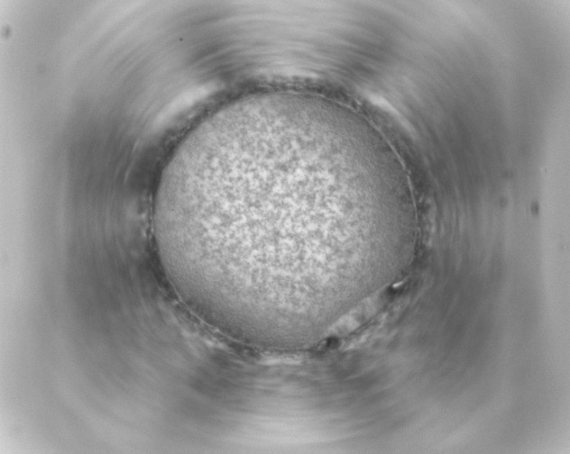 X0000088850870200706221658