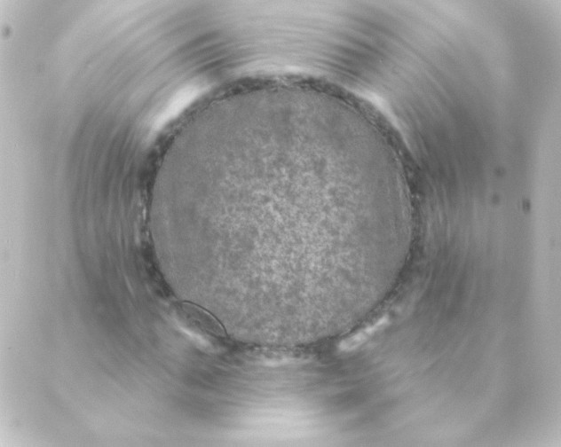 X0000088850871200706221658