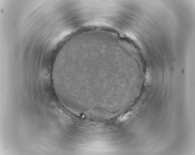 X0000088850872200706221658