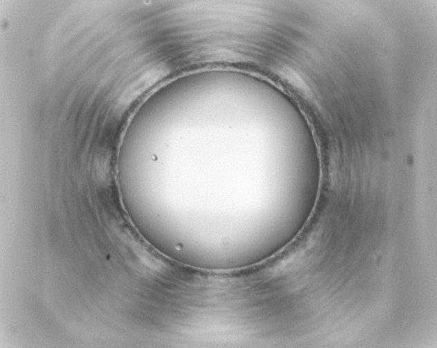 X0000088850873200706221658