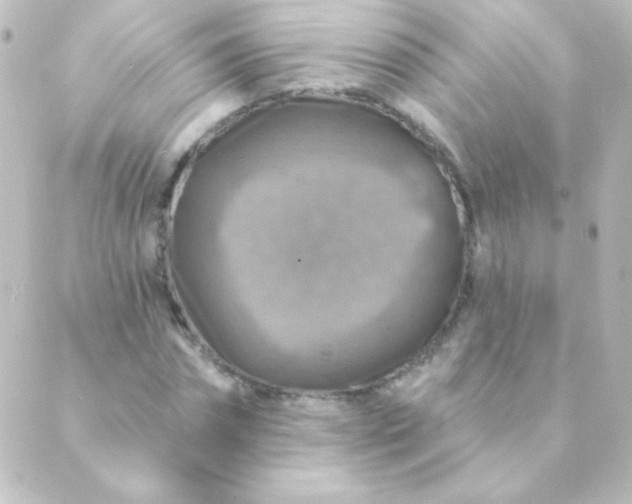 X0000088850874200706221658