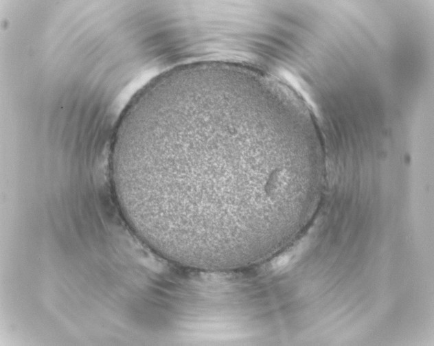 X0000088850875200706221657