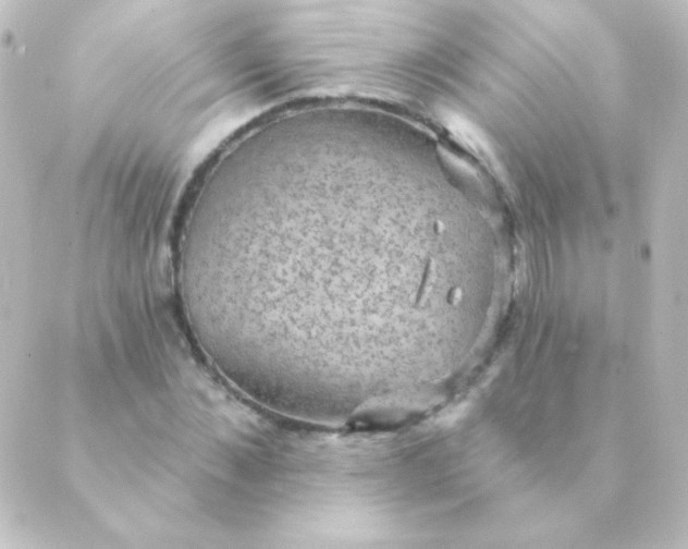 X0000088850876200706221657