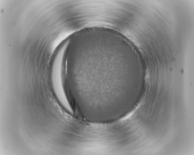 X0000088850877200706221657