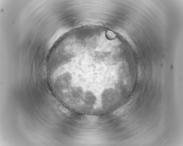 X0000088850878200706221657