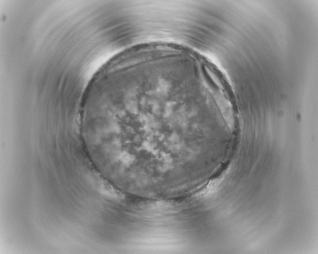 X0000088850879200706221657