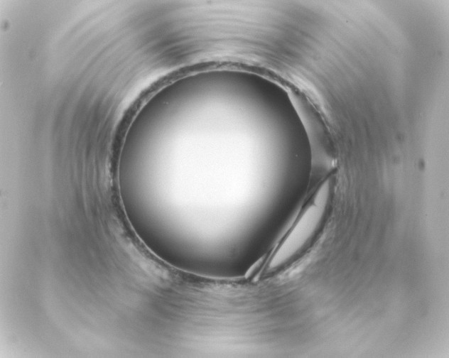 X0000088850880200706221657