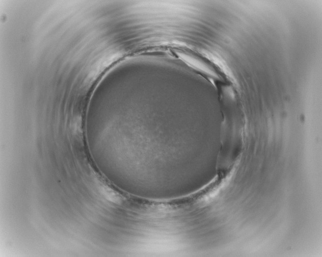 X0000088850881200706221657