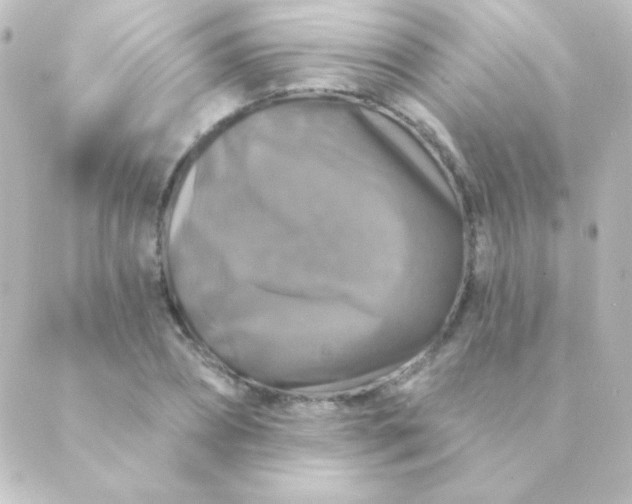 X0000088850882200706221657