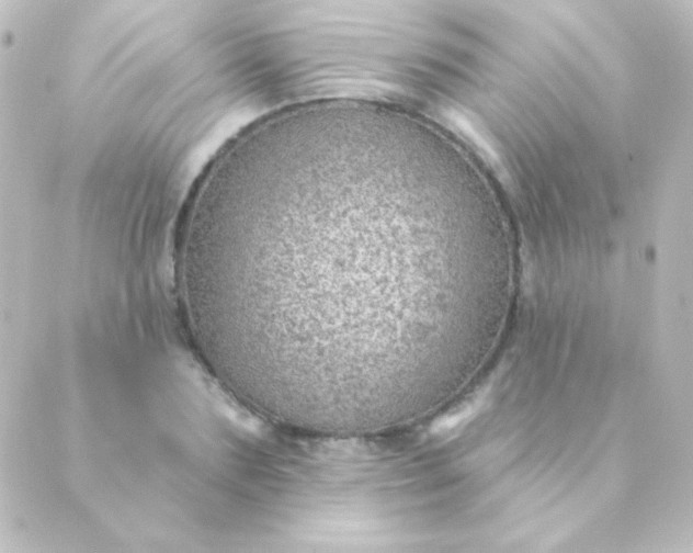 X0000088850883200706221657