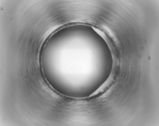 X0000088850884200706221657