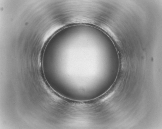 X0000088850885200706221657