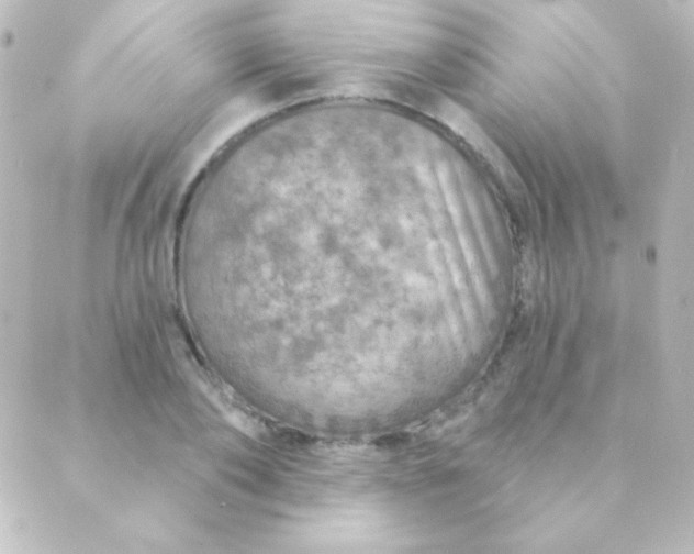 X0000088850886200706221657