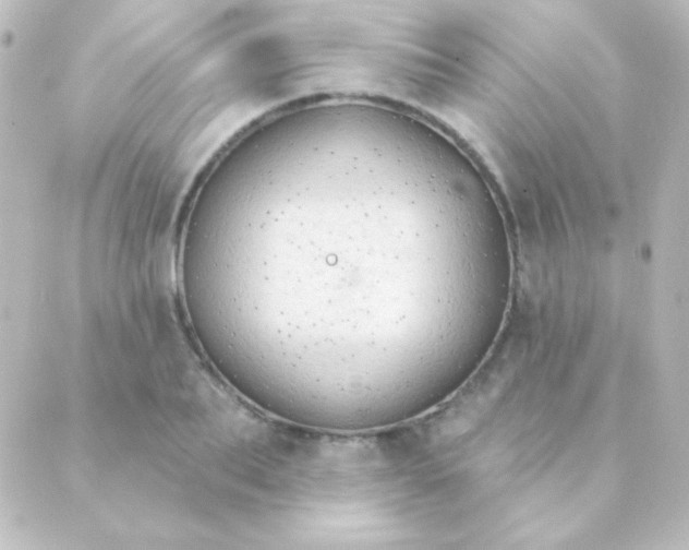 X0000088850887200706221657