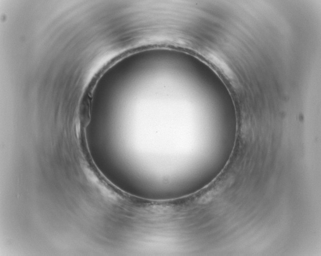 X0000088850888200706221657