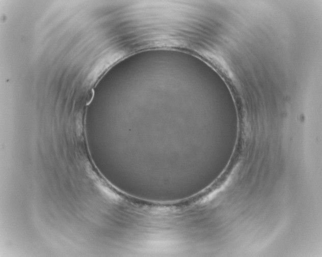 X0000088850889200706221657