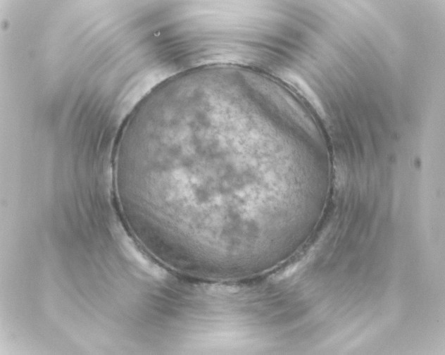 X0000088850890200706221657