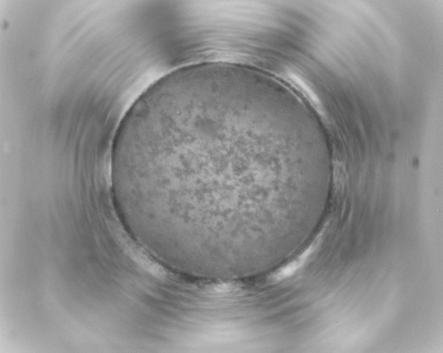 X0000088850891200706221657