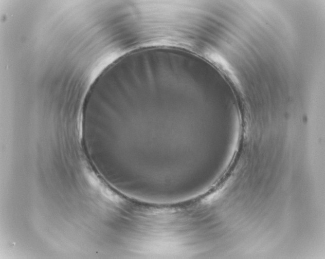 X0000088850892200706221657