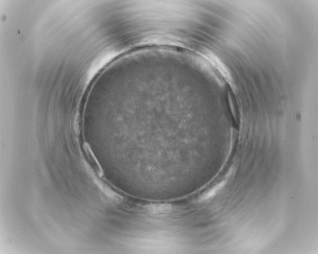 X0000088850893200706221657