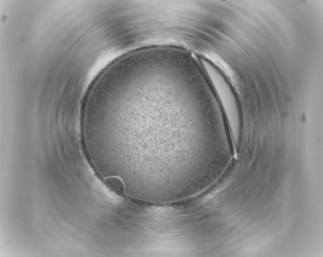 X0000088850894200706221657