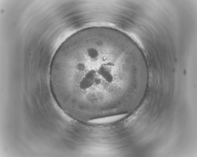 X0000088850895200706221657