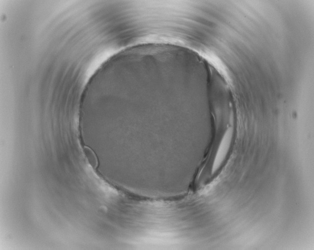 X0000088850896200706221657