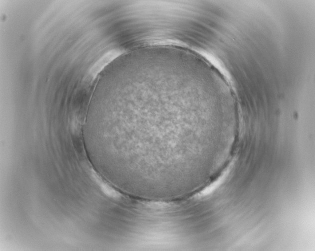 X0000088850897200706221657