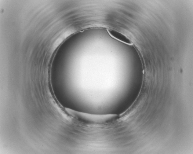 X0000088850898200706221657