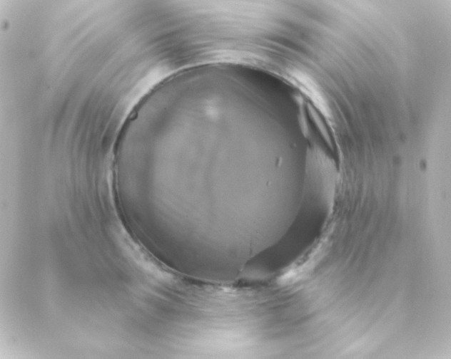 X0000088850899200706221657