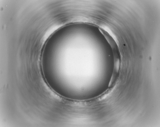 X0000088850901200706221657