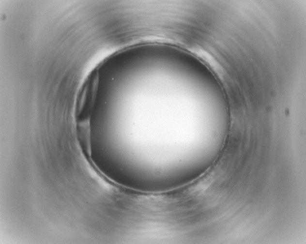 X0000088850902200706221657