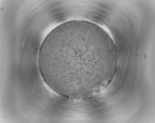 X0000088850903200706221657