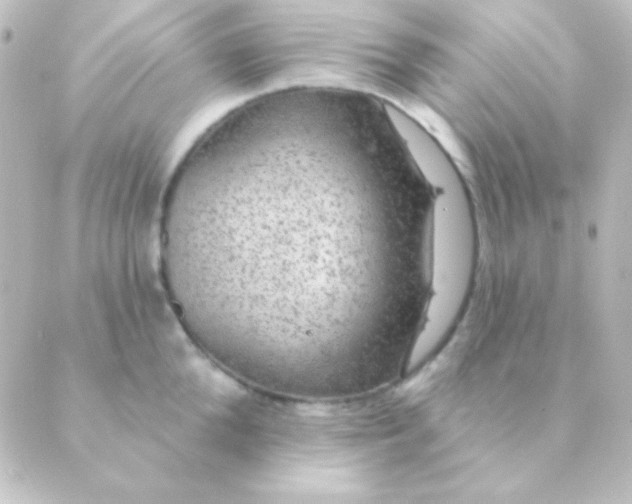 X0000088850904200706221657