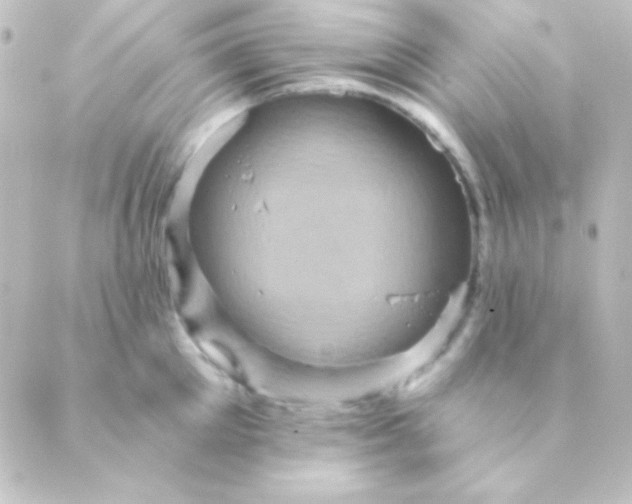 X0000088850905200706221657