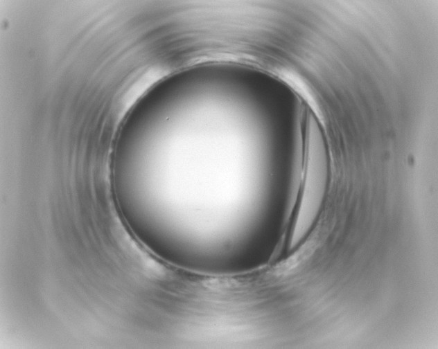 X0000088850906200706221657