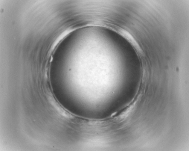 X0000088850908200706221657