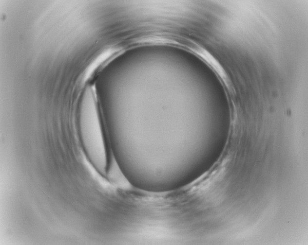 X0000088850909200706221657