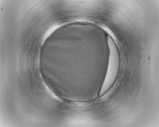 X0000088850910200706221657