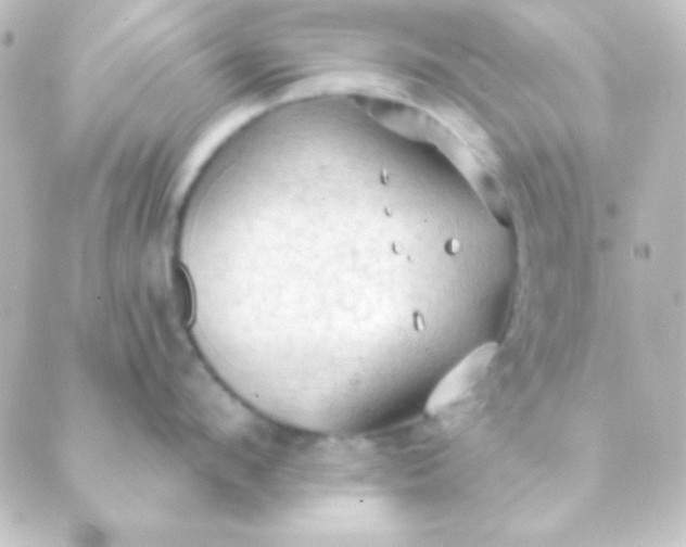 X0000088850912200706221657