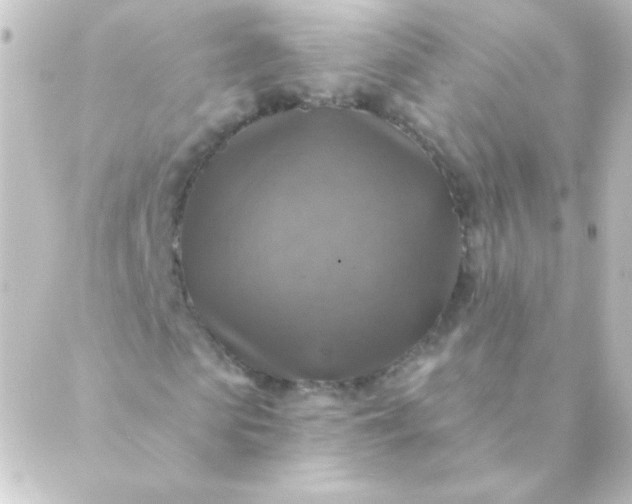 X0000088850913200706221656