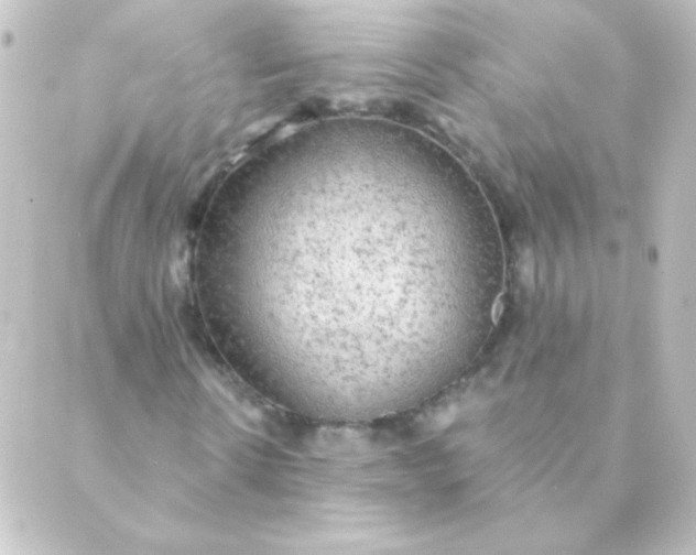 X0000088850914200706221656