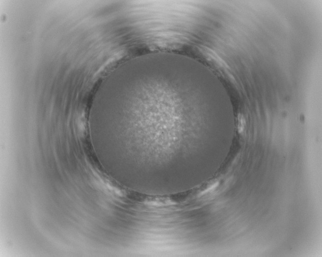 X0000088850915200706221656