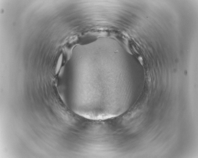 X0000088850916200706221656