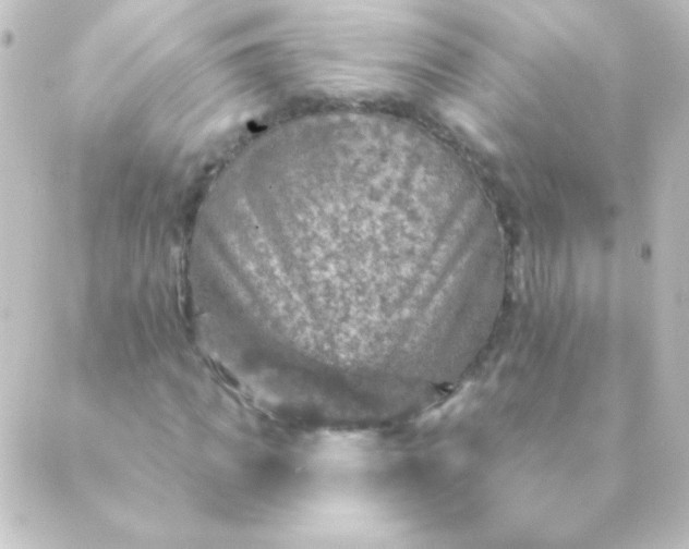 X0000088850917200706221656